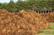 Manure