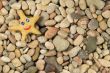 Plasticine star on sea shingle