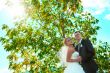 Bride and groom of blue sky