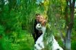 Bride and groom at the park