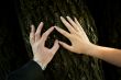 Touch of the hands of bride and groom with rings