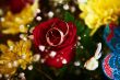 Wedding rings and flowers