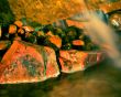Glowing river nothing is forever
