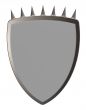 shield with prickles