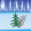 green fir