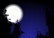 Night wood (eps 10)