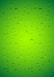 Water drops - eps 10