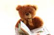 Toy teddy bear