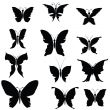 butterflies