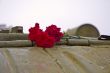 Red carnation flowers on the tank armor