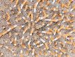 Cigarettes chaos from above