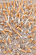 Cigarettes chaos from above