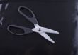 Scissors