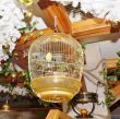 Bird in a cage