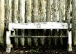 The park-bench