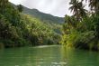 Jungle river