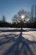 Cold day russian winter polar life