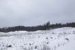 Cold day russian winter polar life