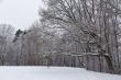 Cold day russian winter polar life