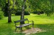 Bench in park