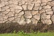 Soil along the canal.