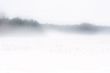 Winter scenery