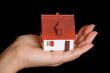 House in hand