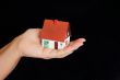 House in hand