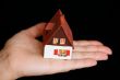 House in hand