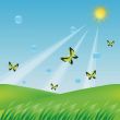 butterflies