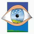 blue eye