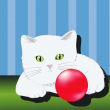 white cat