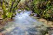 River Majaceite