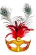Carnival mask