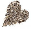 Sunflower seeds 