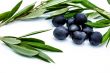 Black olives