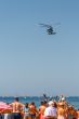 Helicopter SH-60B Seahawk