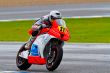 CEV Championship, November 2011