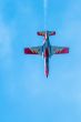 Patrulla Aguila
