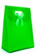 Green gift bag