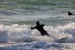 Surfer on 2nd Championship Impoxibol, 2011