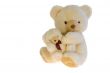 Two toy teddy bears together.