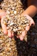 Pebbles in hands