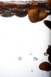 Coffee beans in water