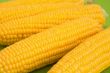 Corn on cob
