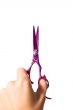 Professional Haircutting Scissors