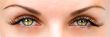 beautiful female eyes
