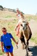 A girl riding a camel