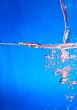 Water drops