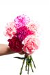 Man gives a bouquet of flowers